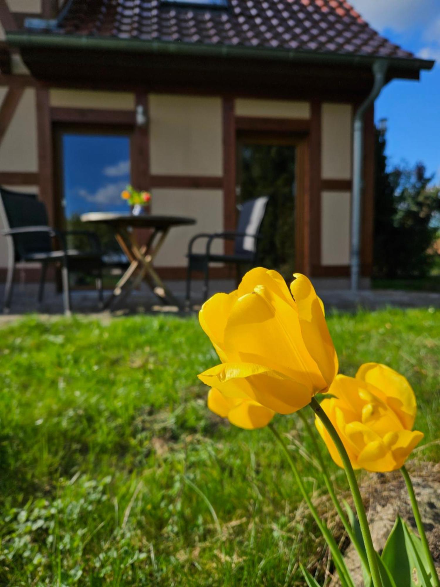 Ferienwohnung Peetsch Am See Mirow Esterno foto