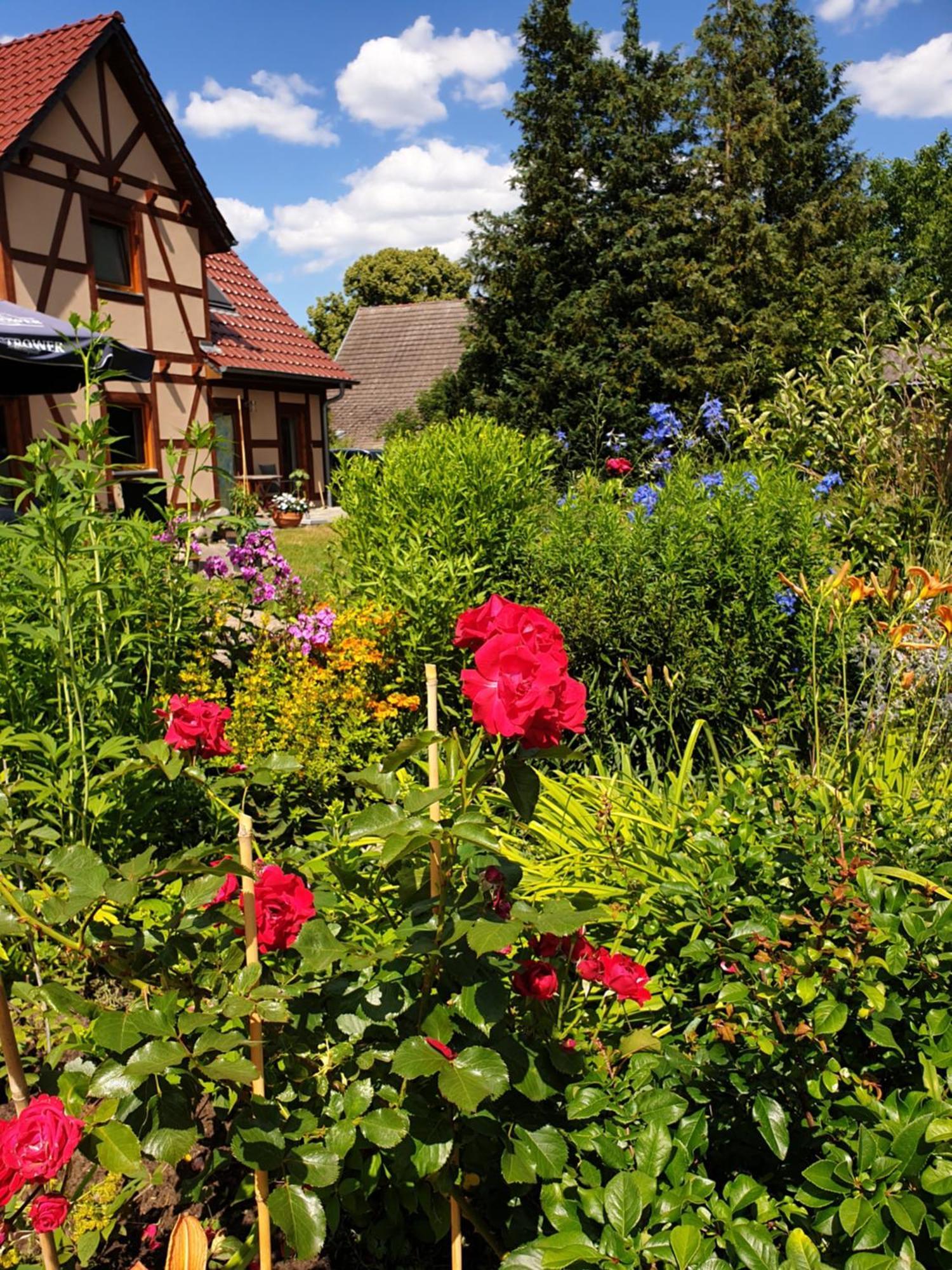 Ferienwohnung Peetsch Am See Mirow Esterno foto